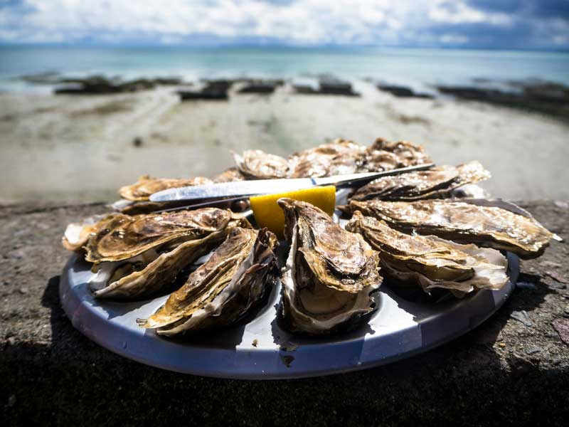 Huîtres de Cancale en bord de mer