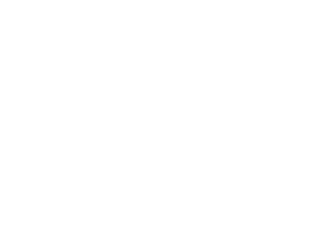 logo-pierre-logis-immobilier-x2